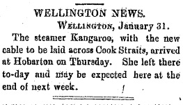 02 February 1880 West Coast Times article